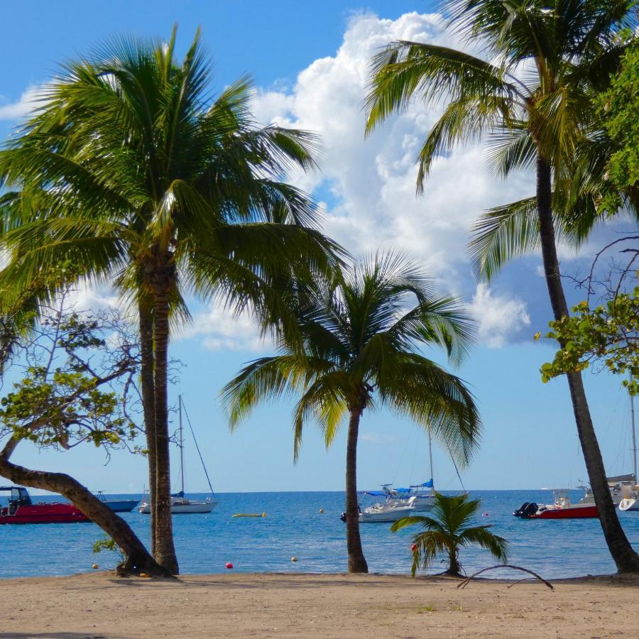 La Plage - Mer Des Caraibes A 30M Les Trois-Ilets Exterior photo
